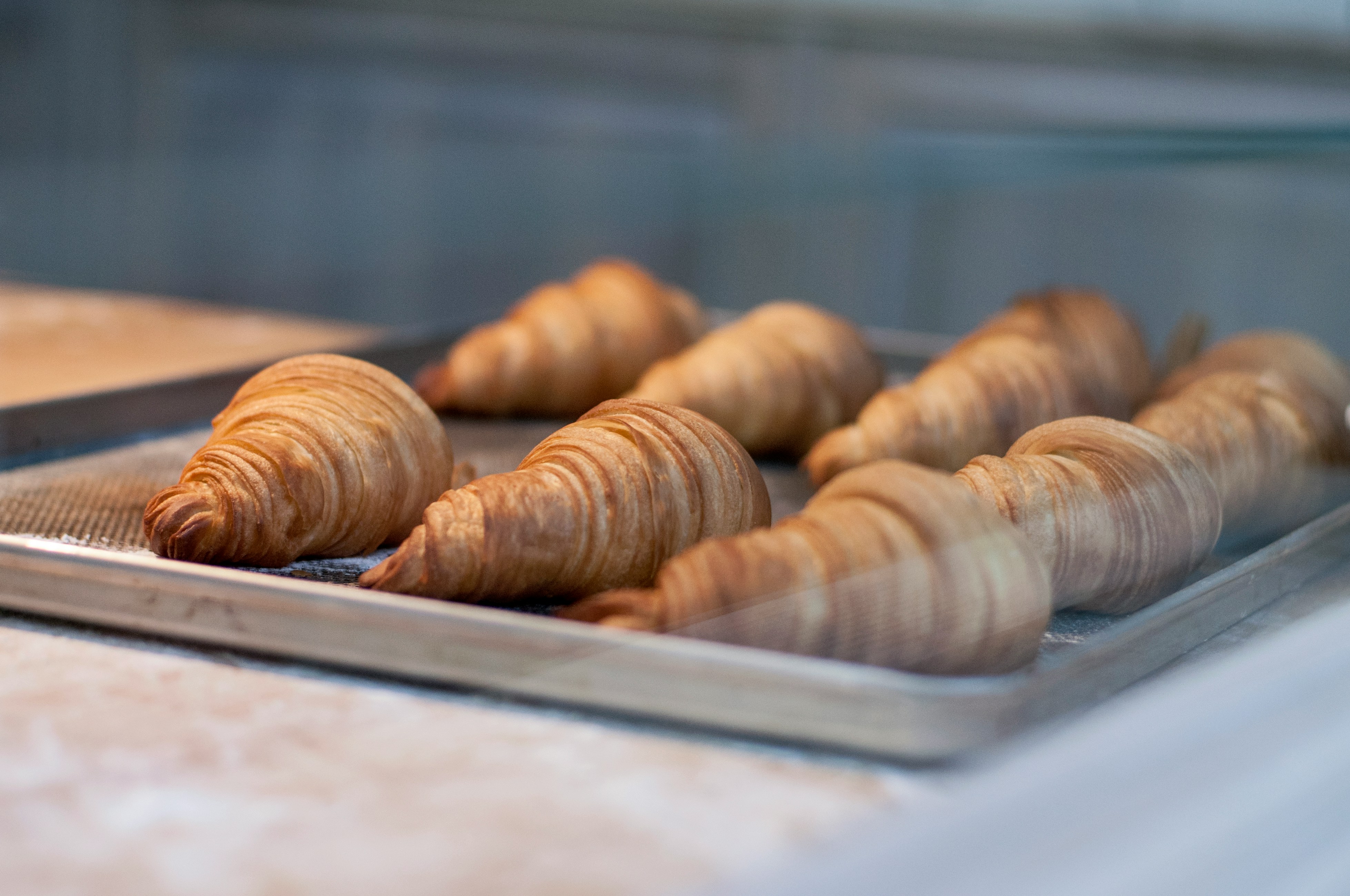 Croissants in a pan